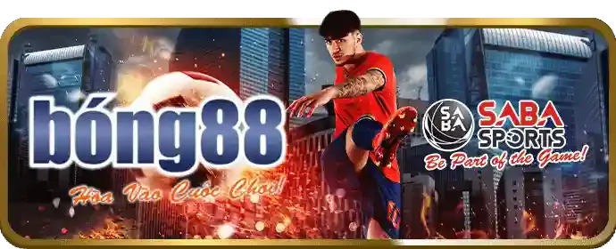 Hình ảnh minh họa quản lý vốn hiệu quả trong cá cược thể thao